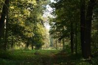 Veltrusy