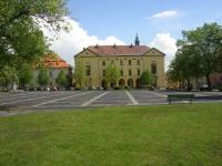 Slaný