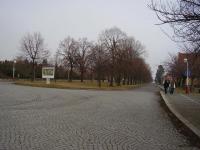 Lidice