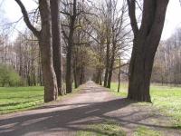 Tachov