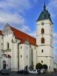 Vodňany