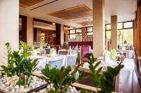 WELLNESS POBYT S POLPENZIOU