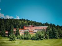 WELLNESS POBYT S POLPENZIOU